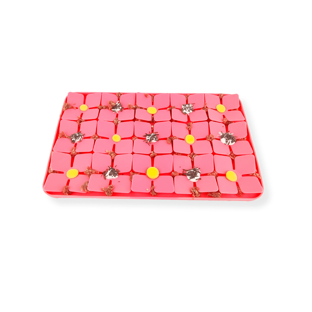 3D Clover Rectangle Slow Feeder - Slow Feeding Bowls from Sale at DoggyTopia