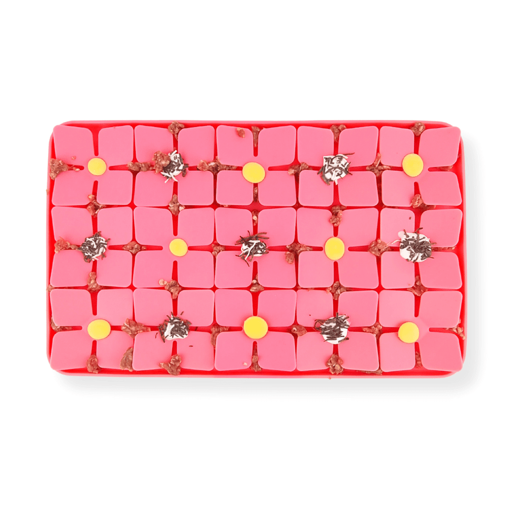 3D Clover Rectangle Slow Feeder - Slow Feeding Bowls from Sale at DoggyTopia