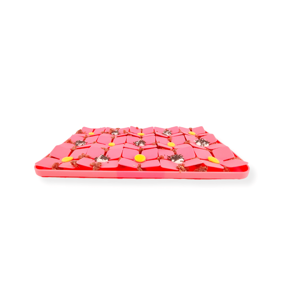3D Clover Rectangle Slow Feeder - Slow Feeding Bowls from Sale at DoggyTopia