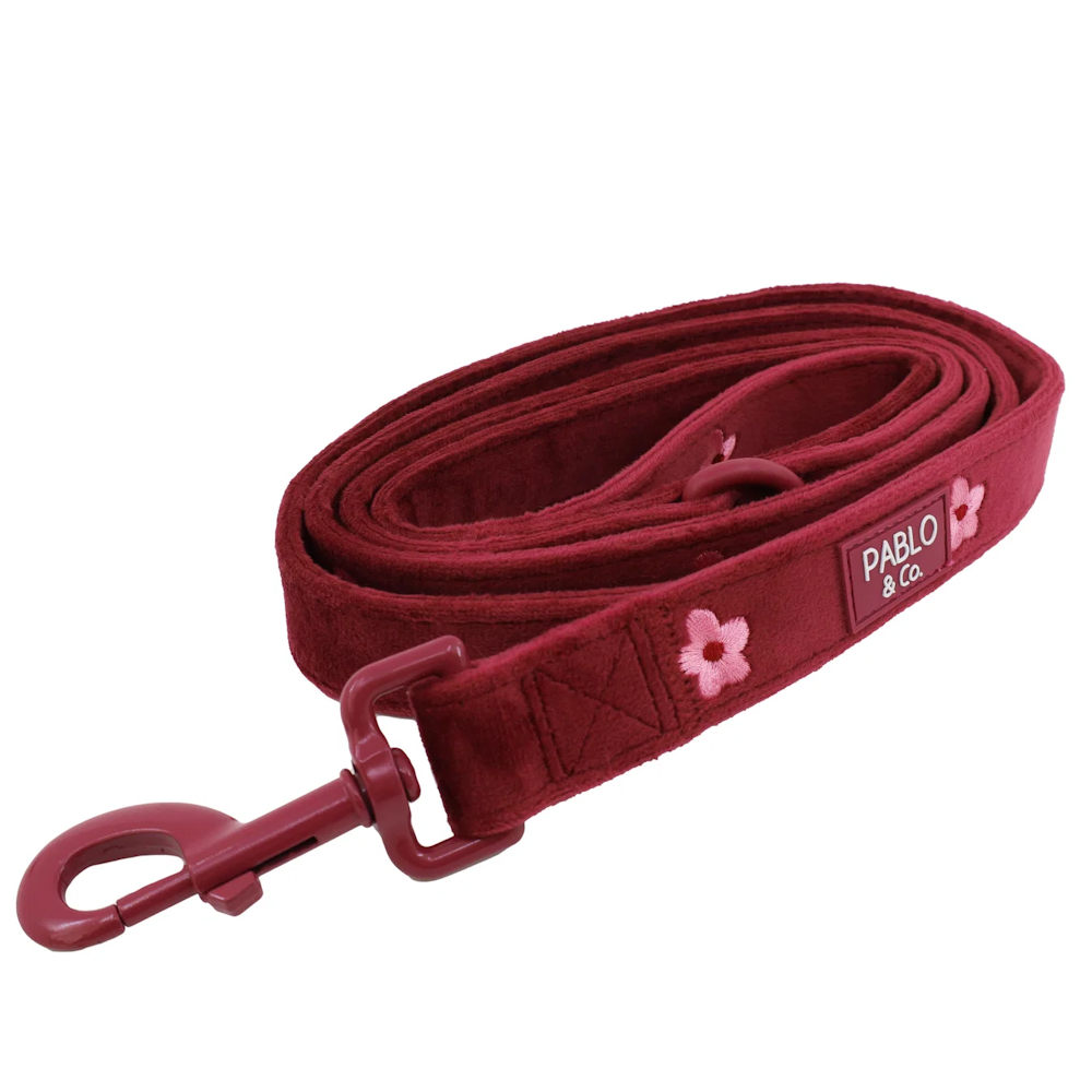 Pablo & Co Bloom Baby Bloom Dog Leash Velvet