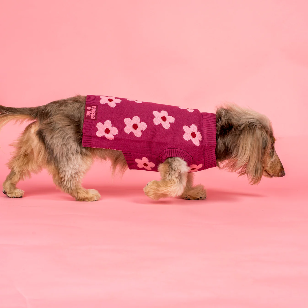 Pablo & Co Bloom Baby Bloom Sweater