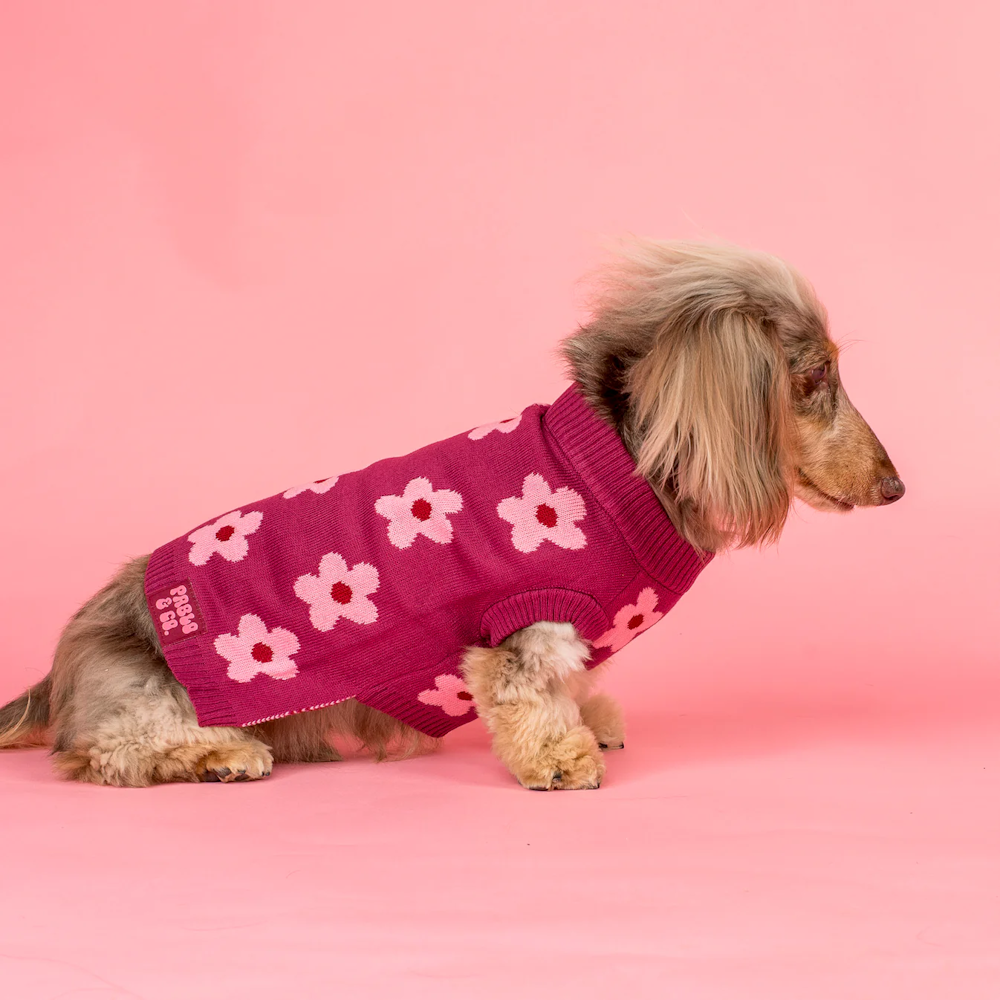 Pablo & Co Bloom Baby Bloom Sweater