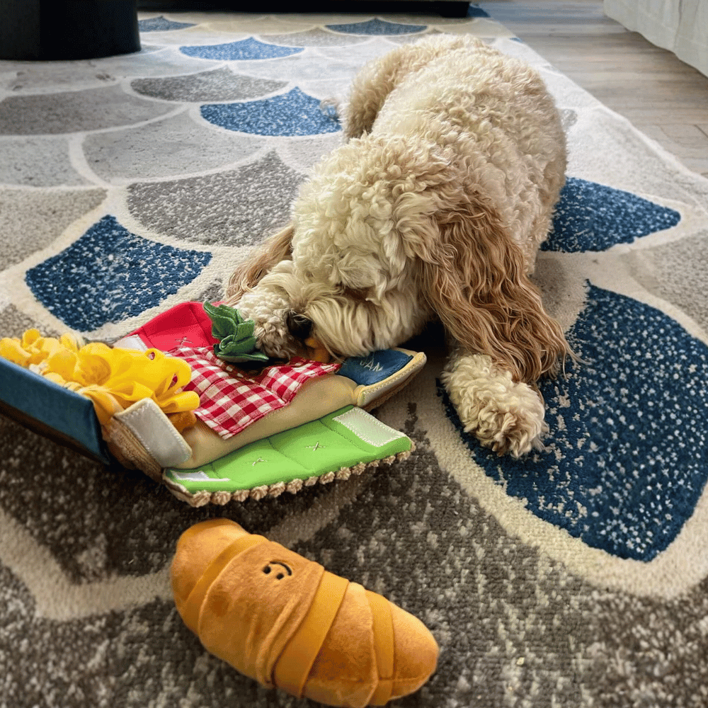 Picnic Basket Nose Work Dog Toy