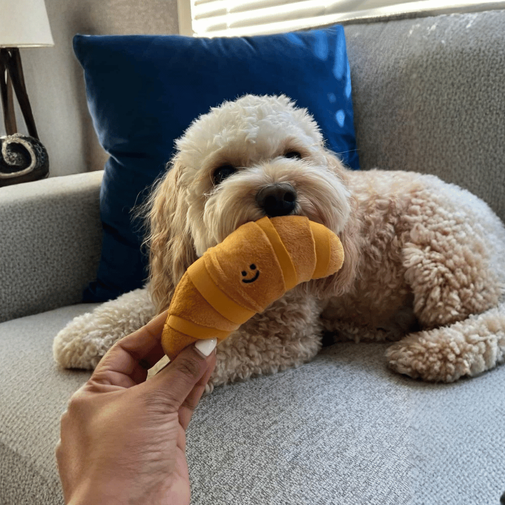 Picnic Basket Nose Work Dog Toy