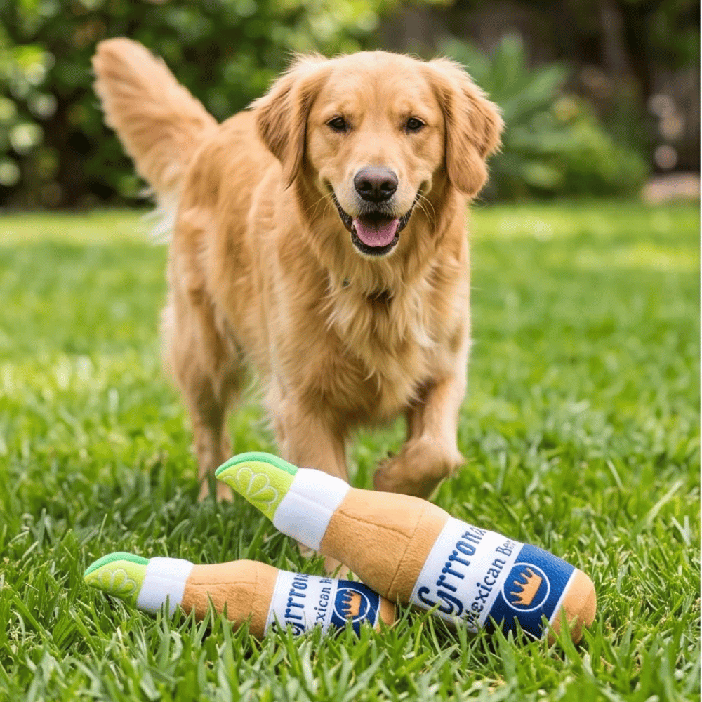 Grrrona Beer Dog Toy