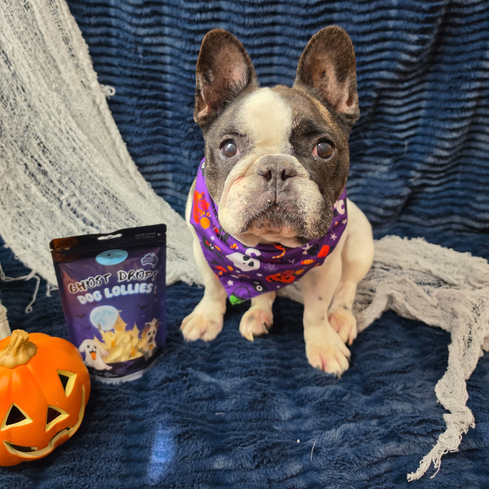 Halloween Ghost Drops Dog Lollies