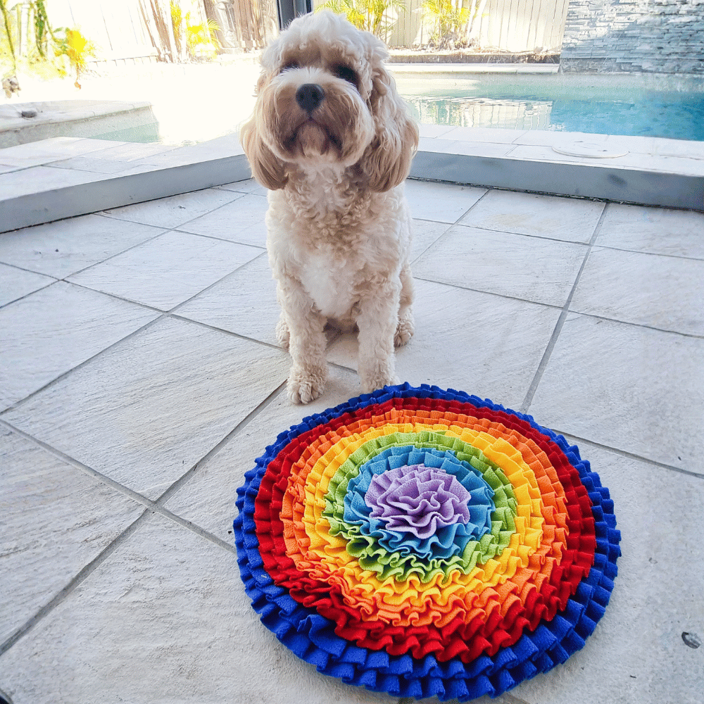 Over The Rainbow Snuffle Mat