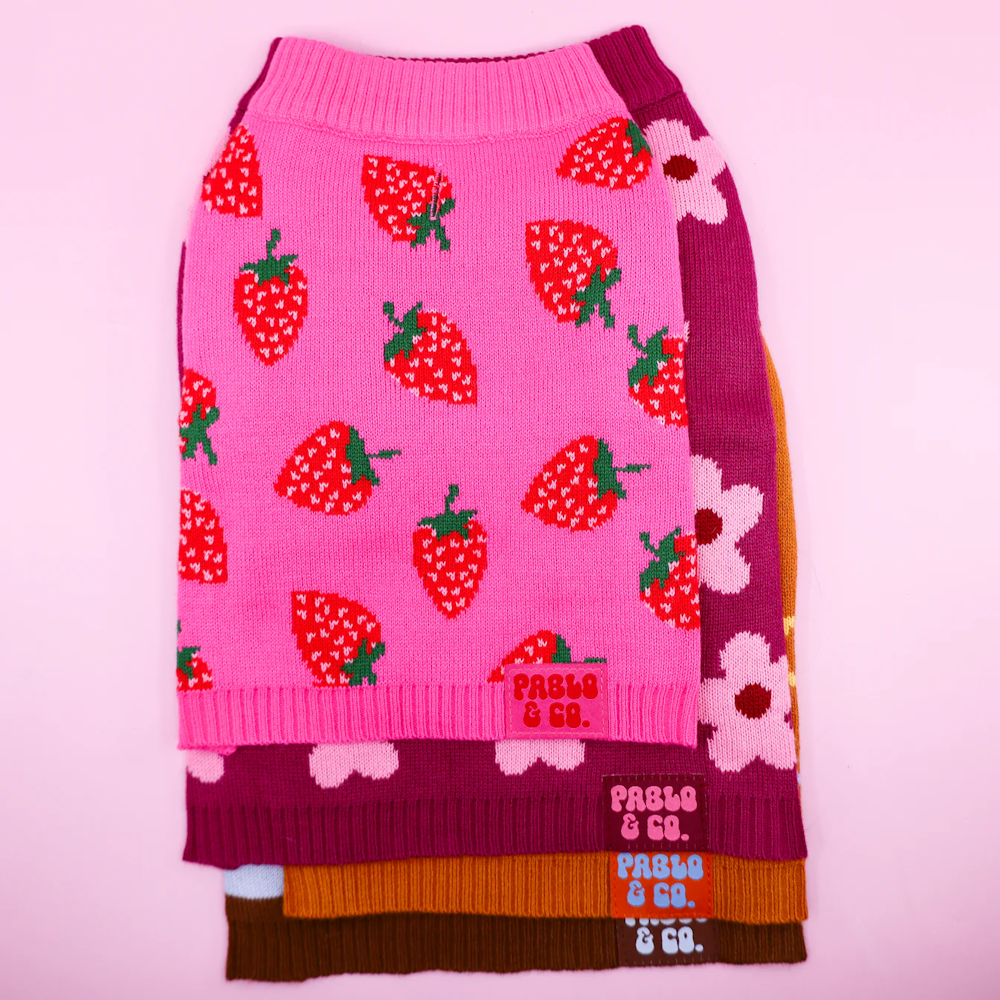 Pablo & Co Strawberries Sweater