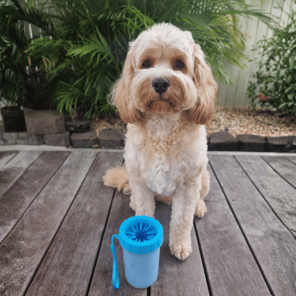 Portable Dog Paw Cleaner