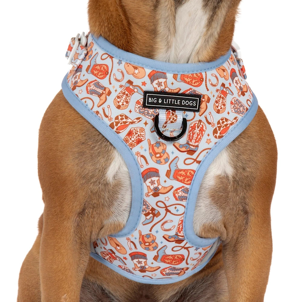 Big & Little Dogs Rodeo King Adjustable Dog Harness