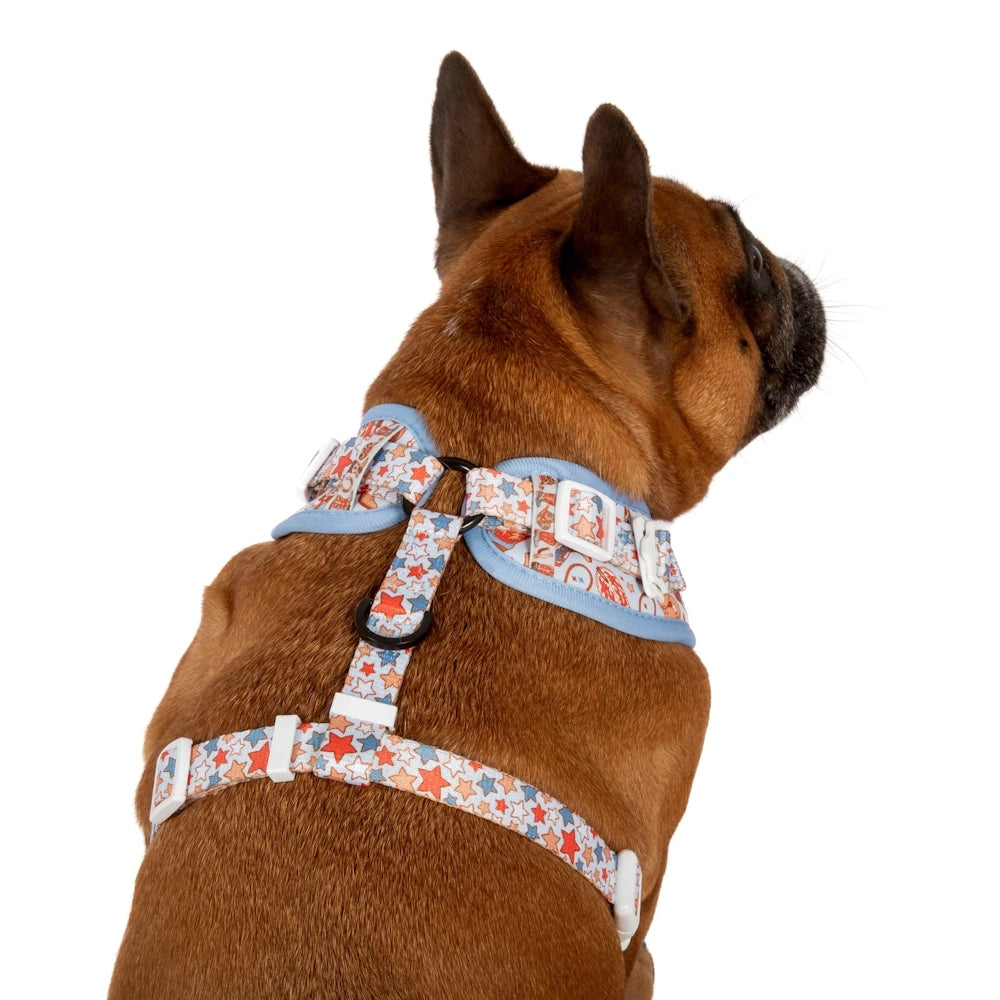Big & Little Dogs Rodeo King Adjustable Dog Harness