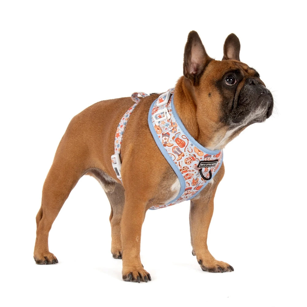 Big & Little Dogs Rodeo King Adjustable Dog Harness