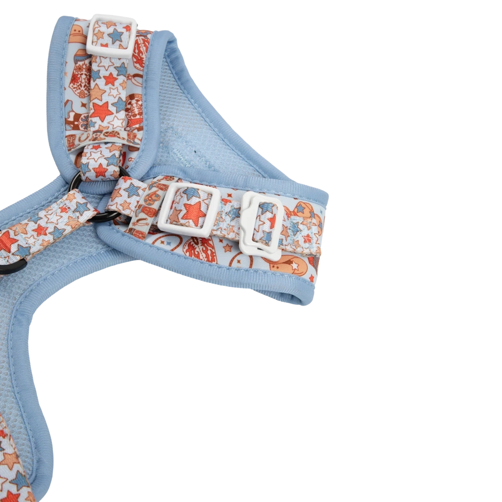 Big & Little Dogs Rodeo King Adjustable Dog Harness