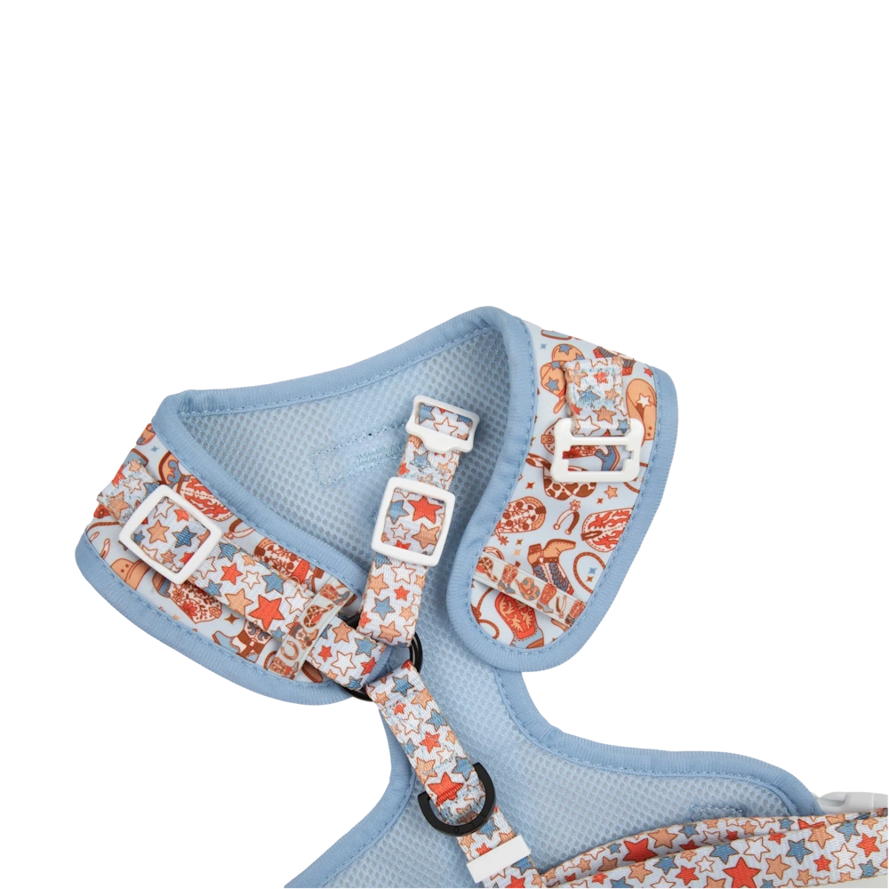 Big & Little Dogs Rodeo King Adjustable Dog Harness