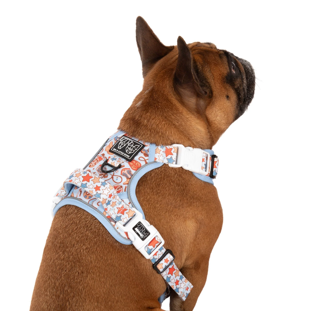 Big & Little Dogs Rodeo King All Rounder Harness