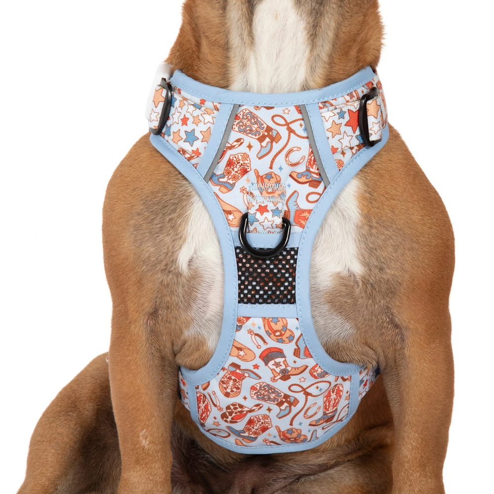 Big & Little Dogs Rodeo King All Rounder Harness