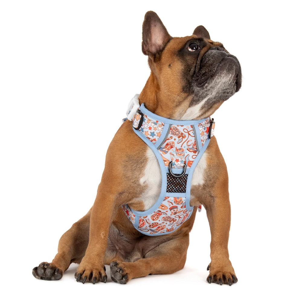 Big & Little Dogs Rodeo King All Rounder Harness