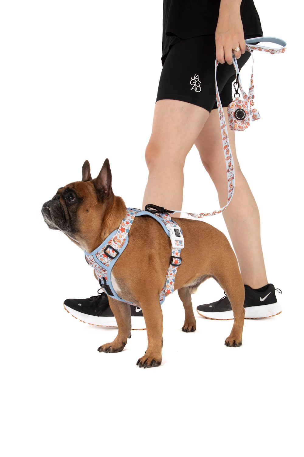 Big & Little Dogs Rodeo King All Rounder Harness