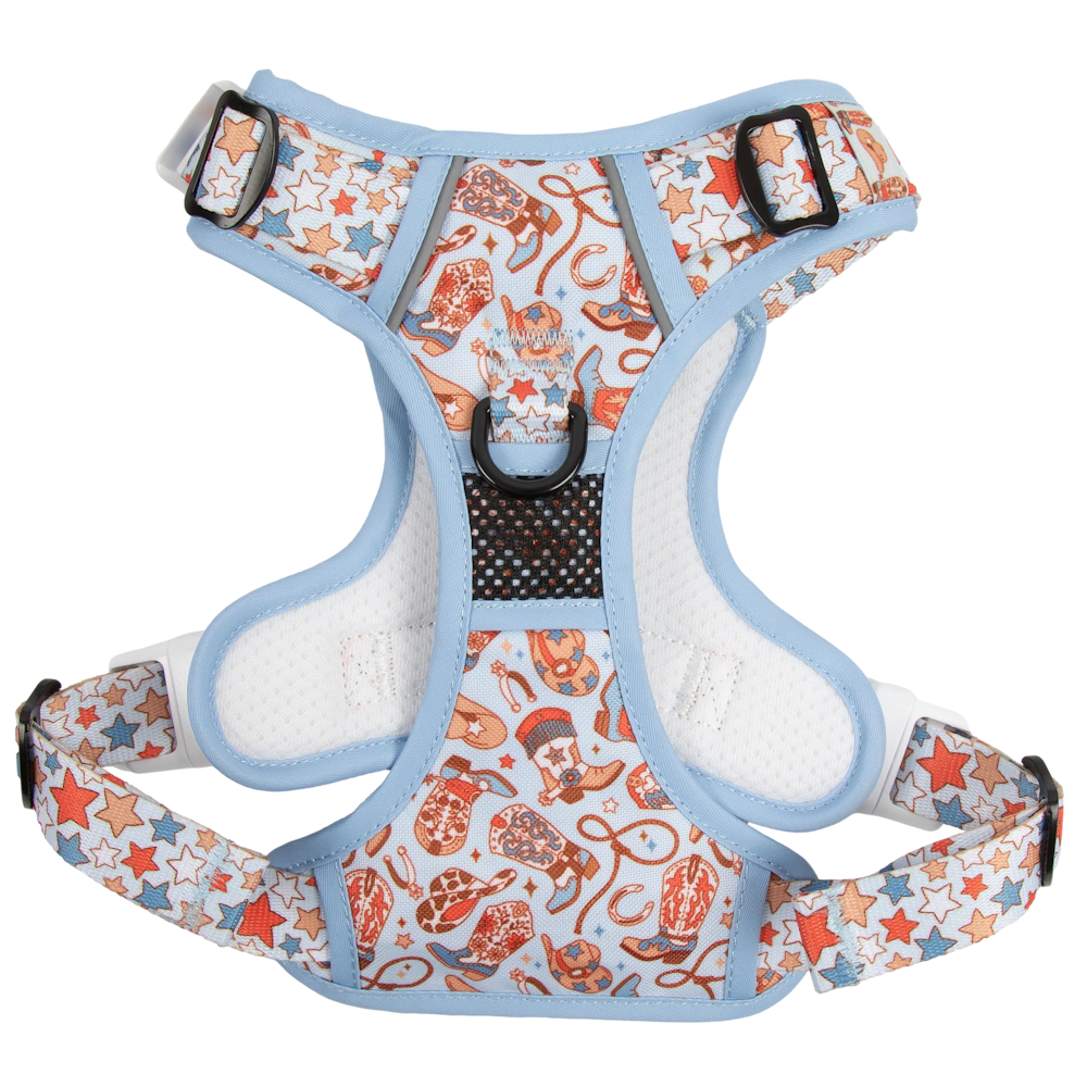 Big & Little Dogs Rodeo King All Rounder Harness