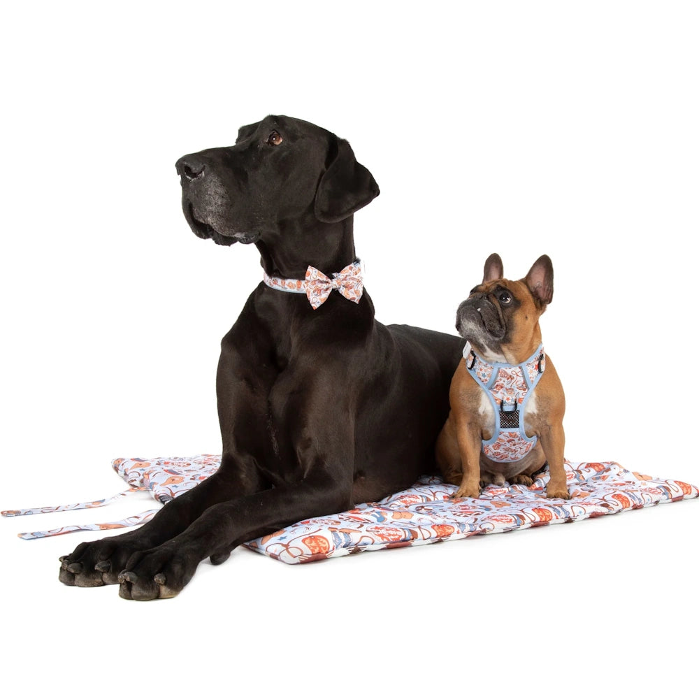 Big & Little Dogs Rodeo King On the Go Pet Mat