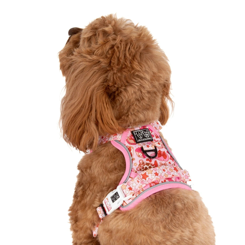 Big & Little Dogs Rodeo Queen All Rounder Harness