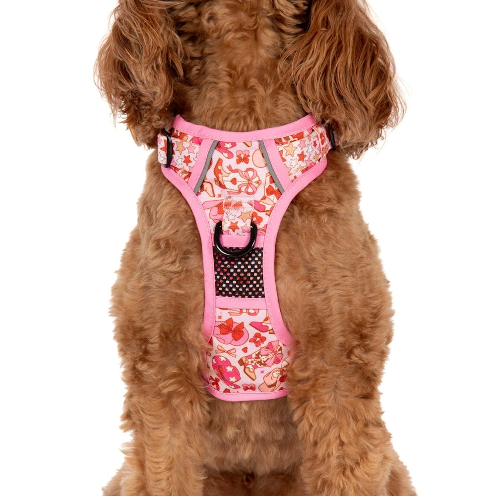 Big & Little Dogs Rodeo Queen All Rounder Harness