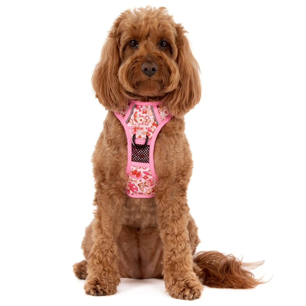 Big & Little Dogs Rodeo Queen All Rounder Harness
