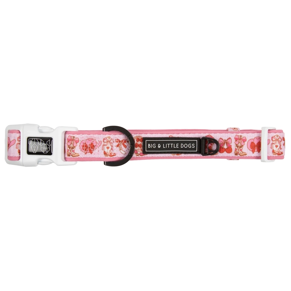 Big & Little Dogs Rodeo Queen Collar & Bow Tie