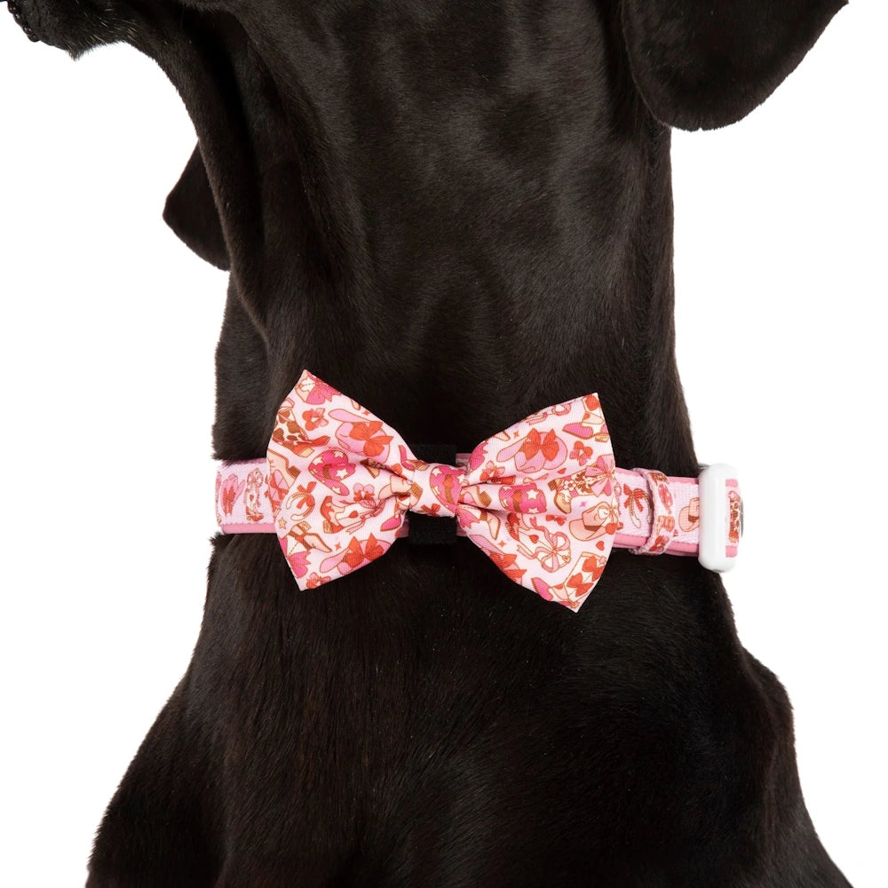 Big & Little Dogs Rodeo Queen Collar & Bow Tie