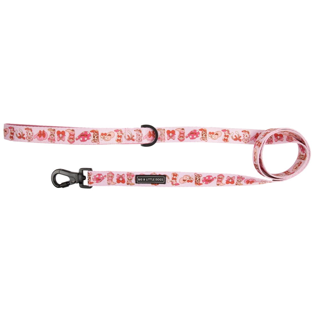 Big & Little Dogs Rodeo Queen Dog Leash