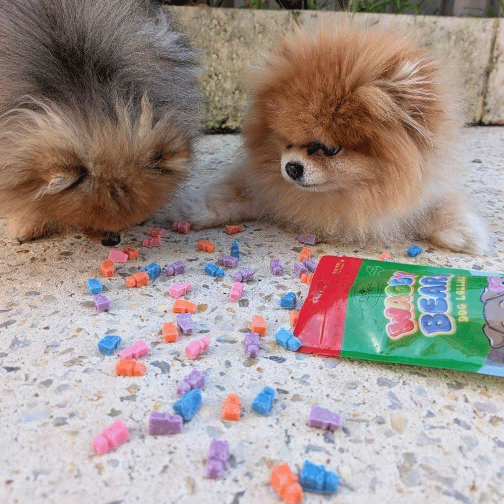 Waggy Bears Dog Lollies