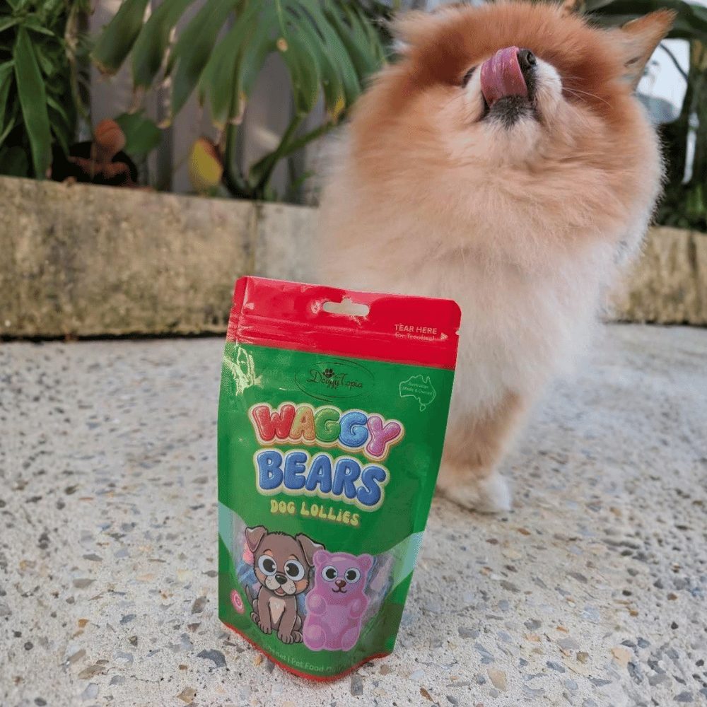 Waggy Bears Dog Lollies