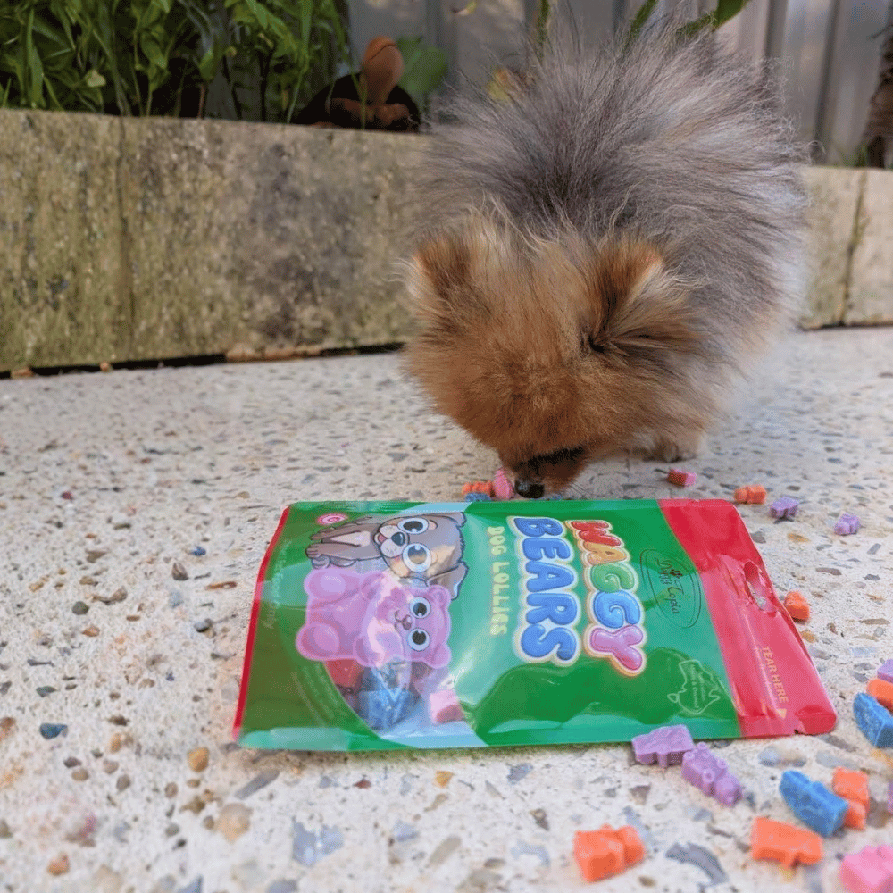 Waggy Bears Dog Lollies