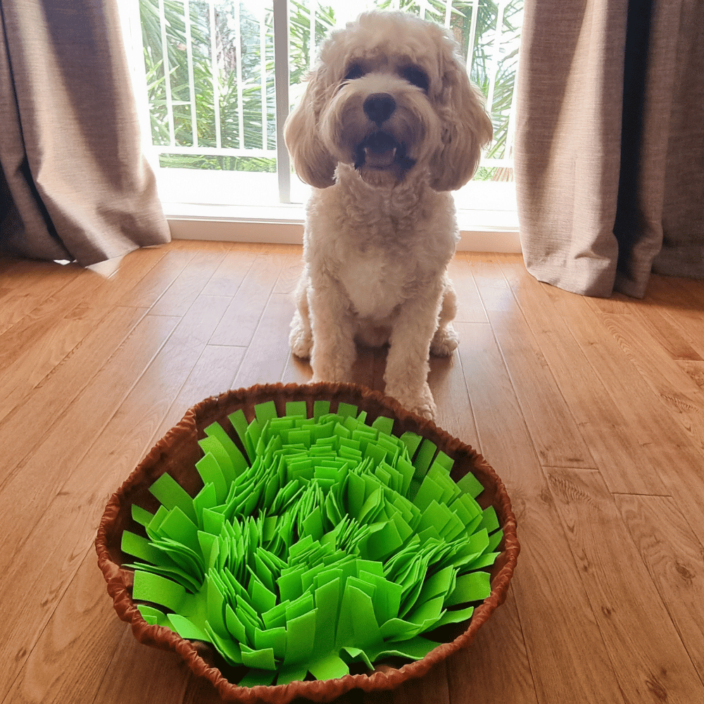 Snuffle Bowl Mat