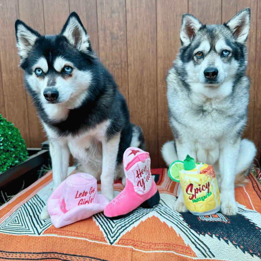 Spicy Muttgarita Drink Dog Toy