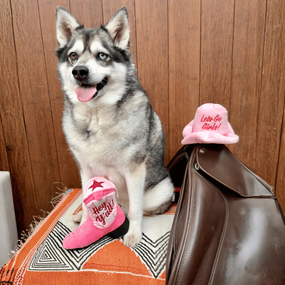 Pink Cowgirl Hat Dog Toy
