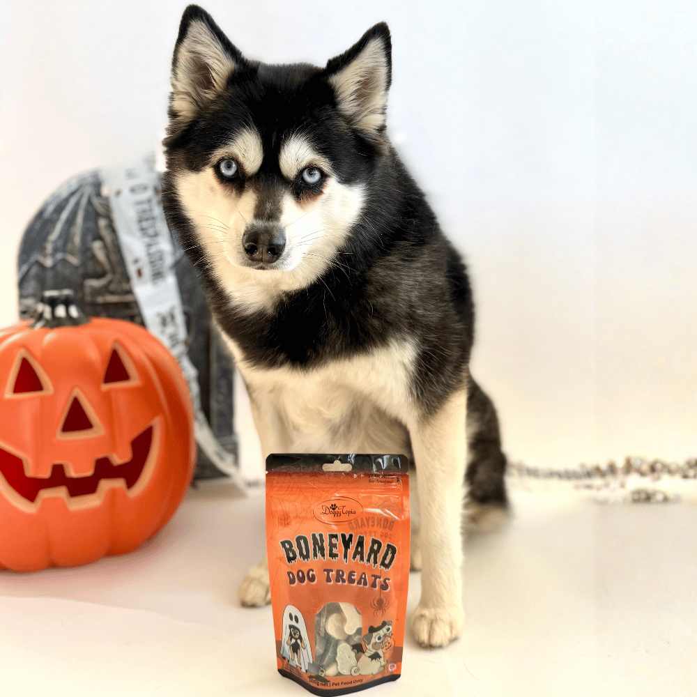 Halloween Boneyard Dog Treats