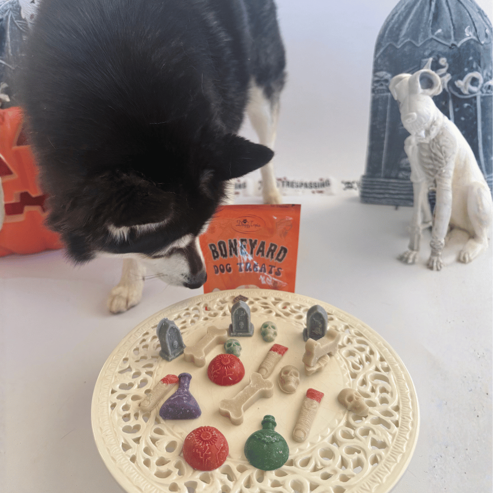 Halloween Boneyard Dog Treats