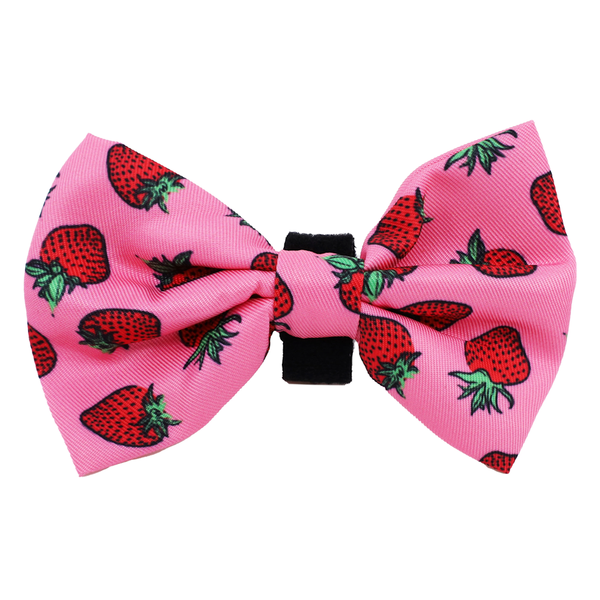 Pablo & Co Strawberries Bow Tie