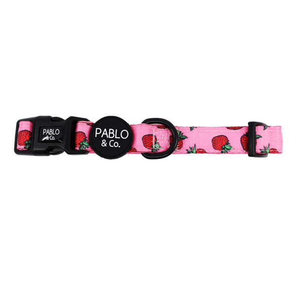 Pablo & Co Strawberries Dog Collar