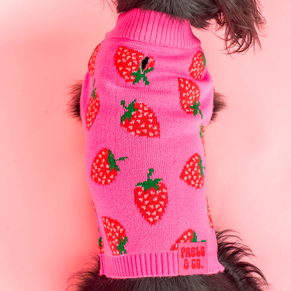 Pablo & Co Strawberries Sweater