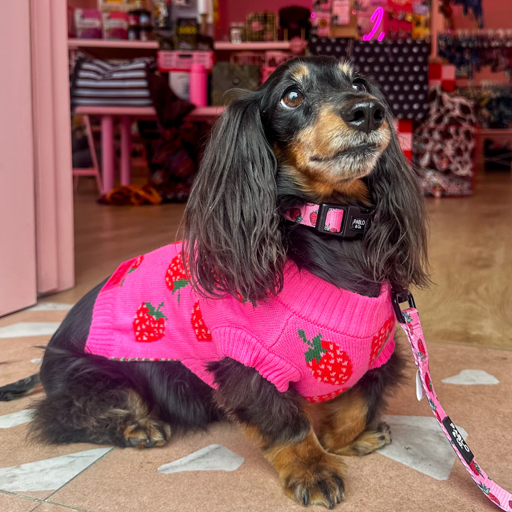 Pablo & Co Strawberries Sweater