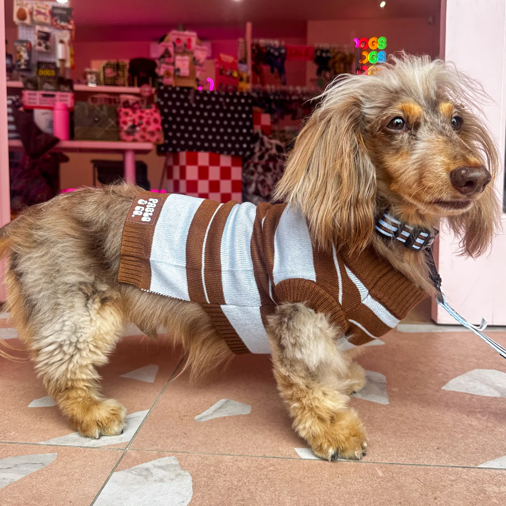 Pablo & Co Sunday Stripes Sweater