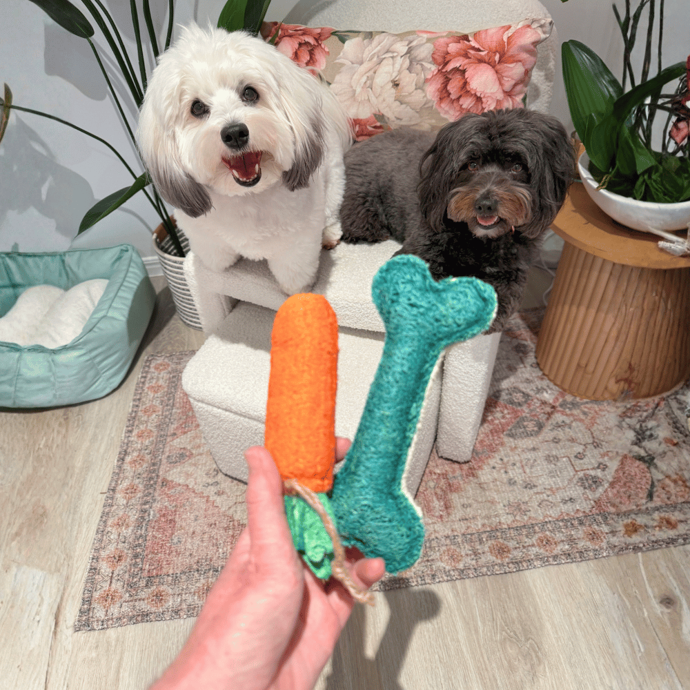Loofah Bone Dental Toy - Small