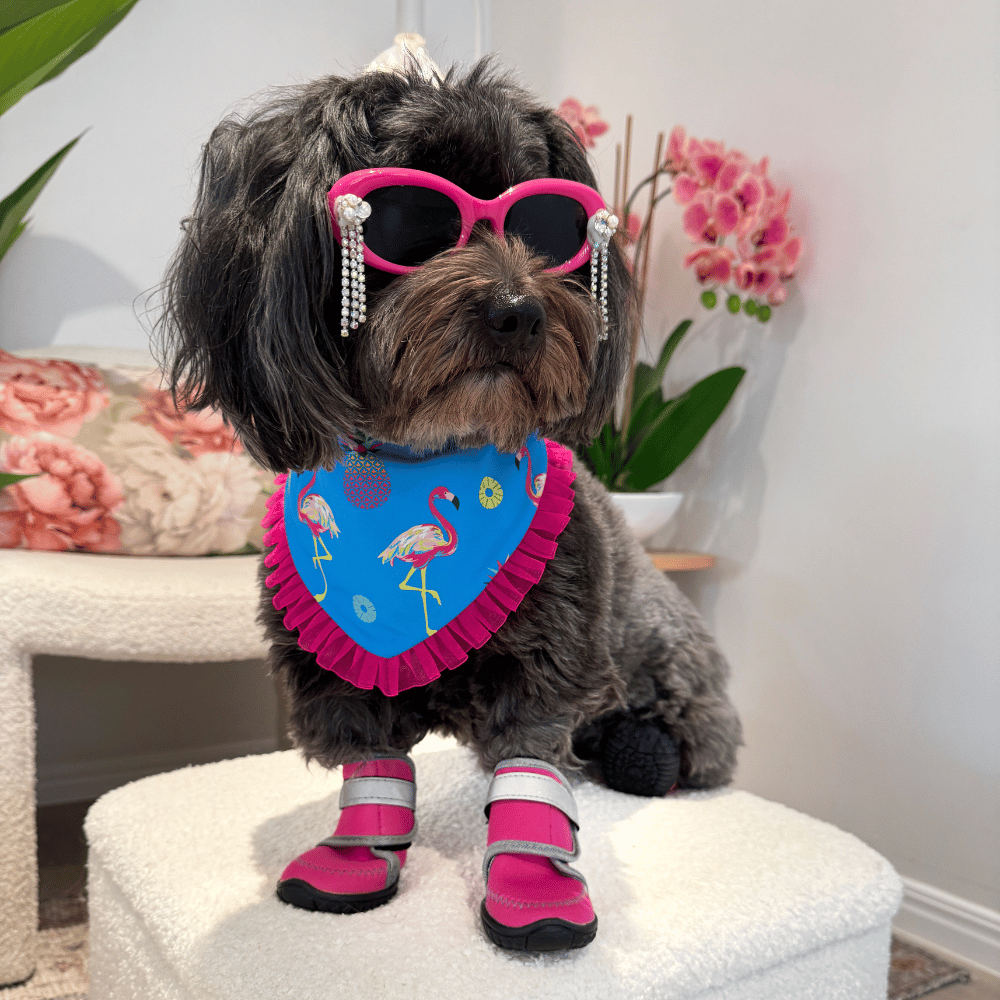 Neoprene Dog Shoes