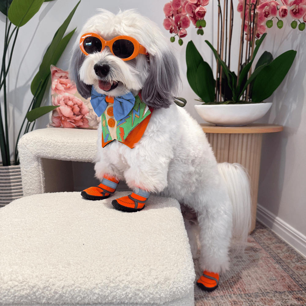 Neoprene Dog Shoes