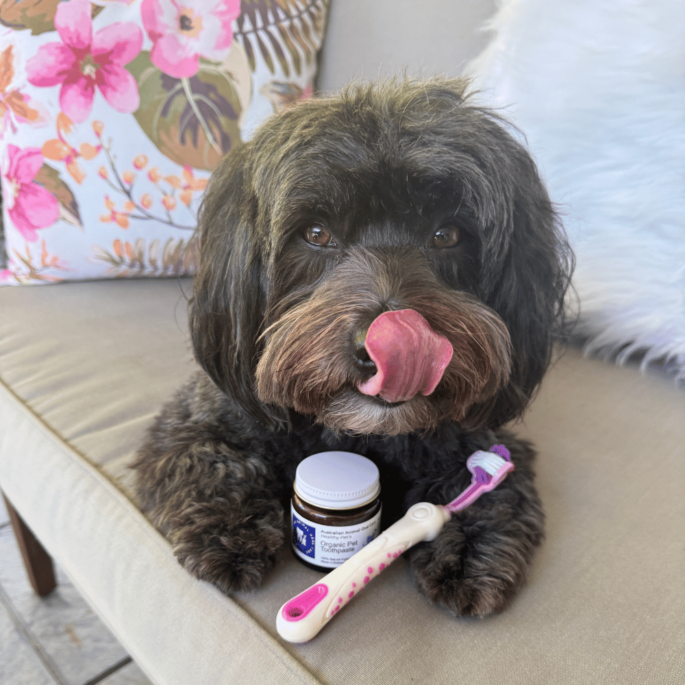 Pet Toothpaste