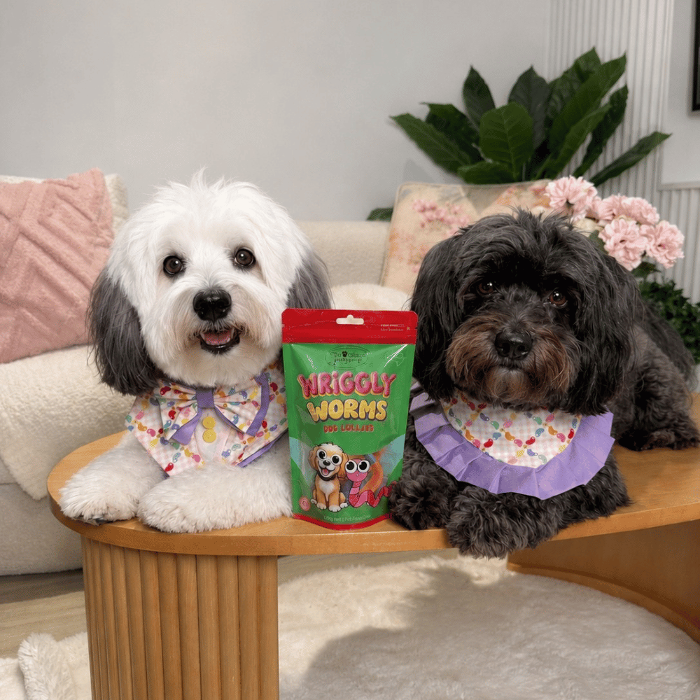 Wriggly Worms Dog Lollies