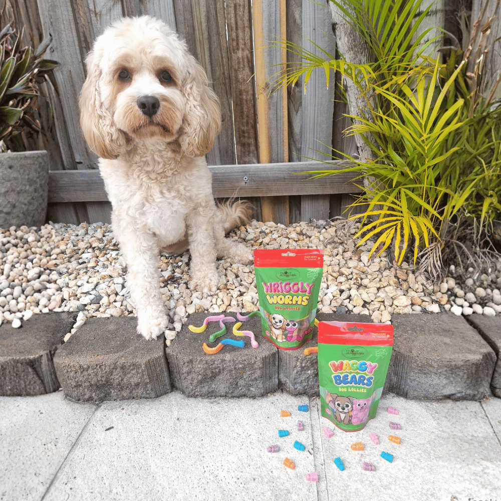 Waggy Bears Dog Lollies