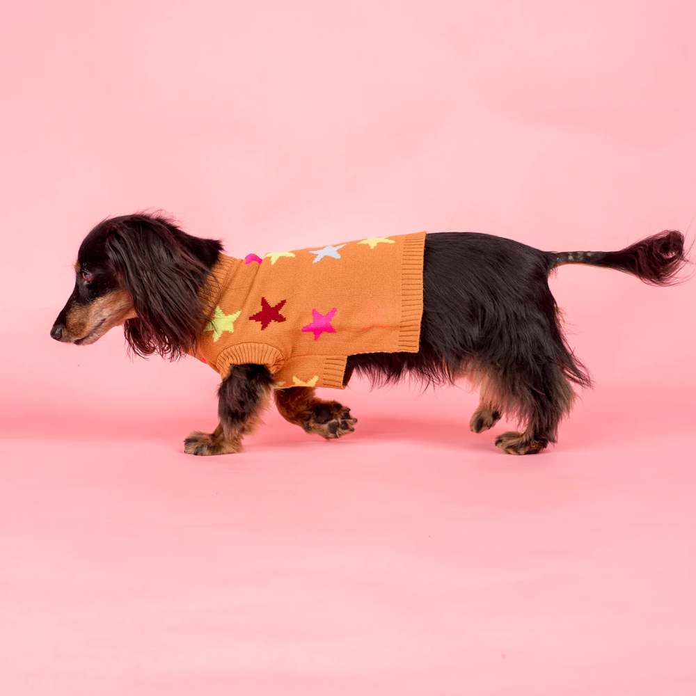 Pablo & Co You're A Star Sweater